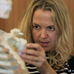 Anatomy, Physiology and Pathology