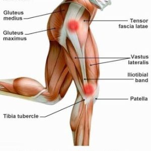 Book Now - The Functional Pelvis