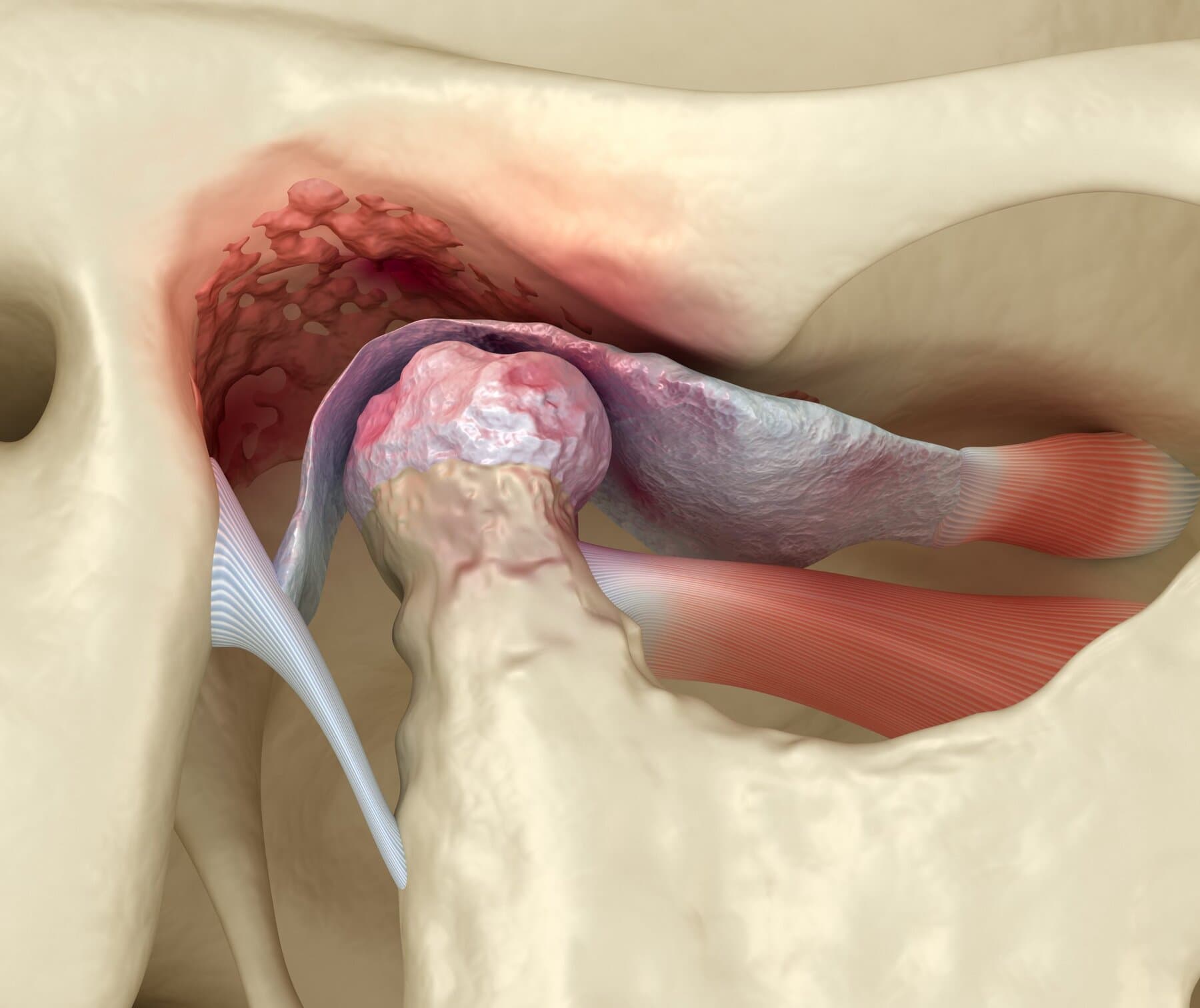 Cranial & TMJ Workshop