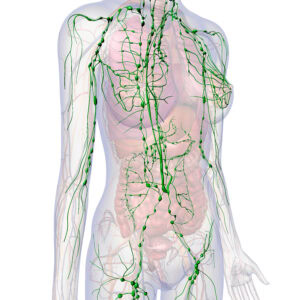 Manual Lymphatic Drainage