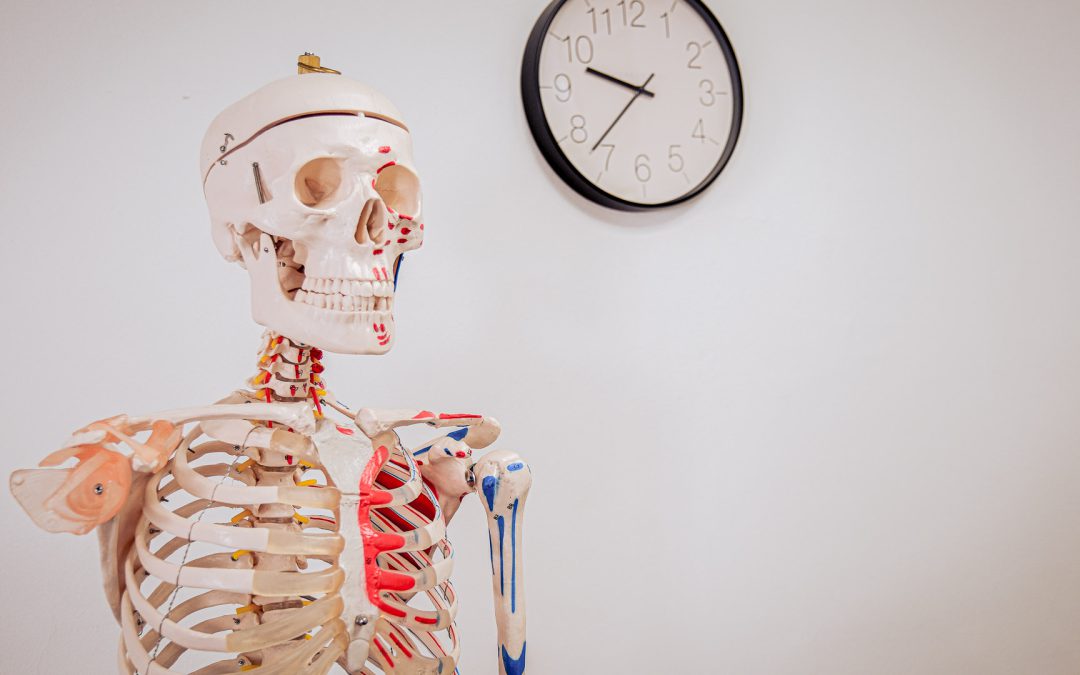 Anatomy, Physiology & Pathology Refresher Course