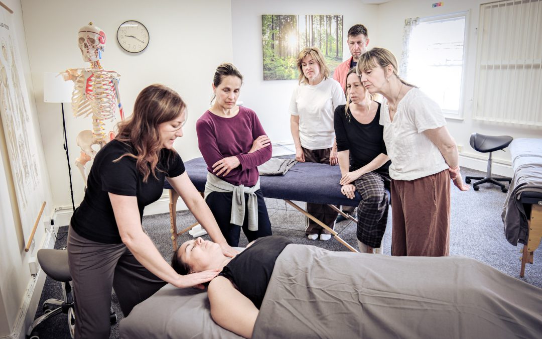 Manual Lymphatic Drainage Diploma