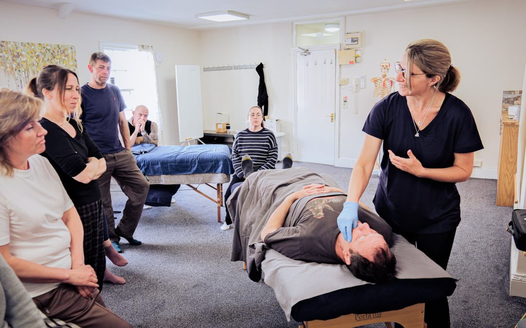 Level 3 Cranial and TMJ: Advanced Practice