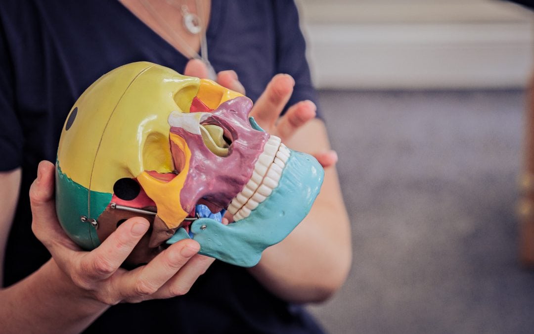 Level 2 Cranial and TMJ: Integration Through the Body