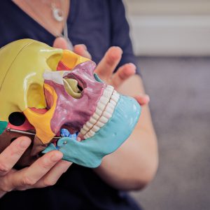 Level 1 - Foundations of Cranial and TMJ Work