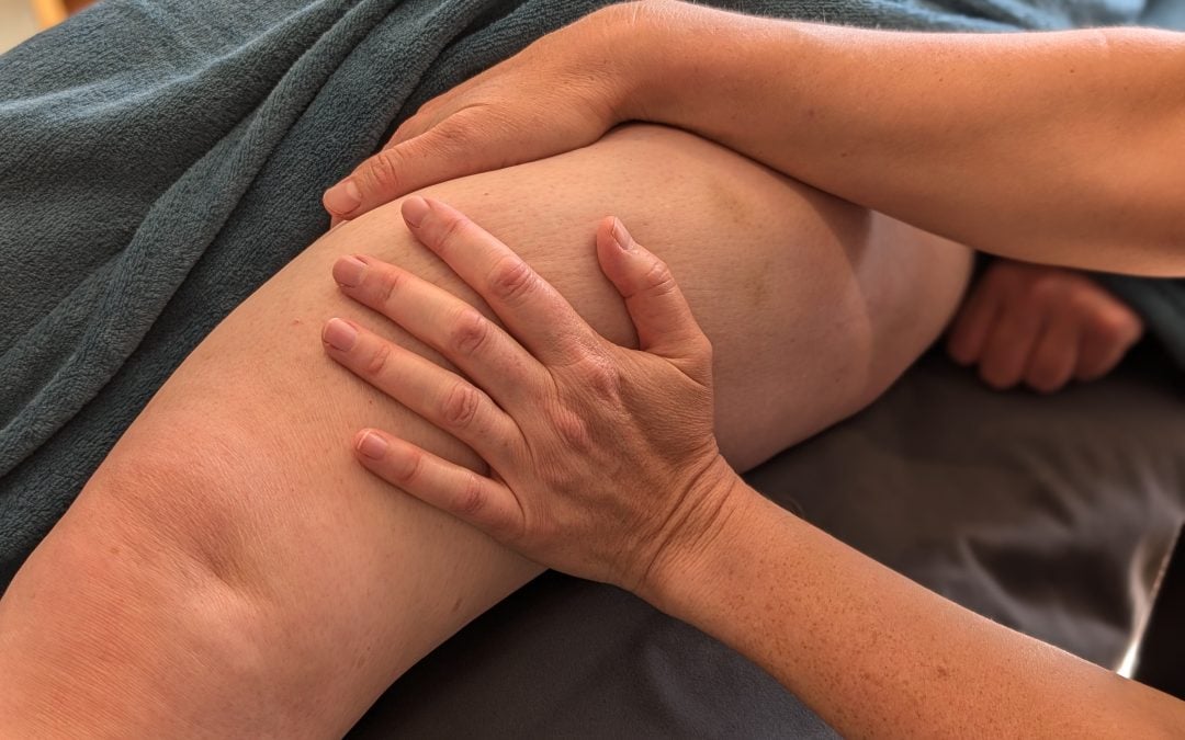 Fascial Bodywork Practitioner Diploma