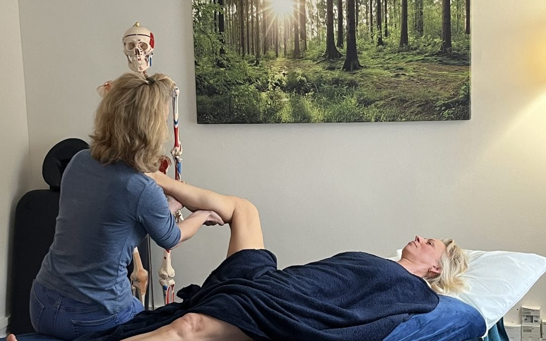Fascial Bodywork Supervision Day
